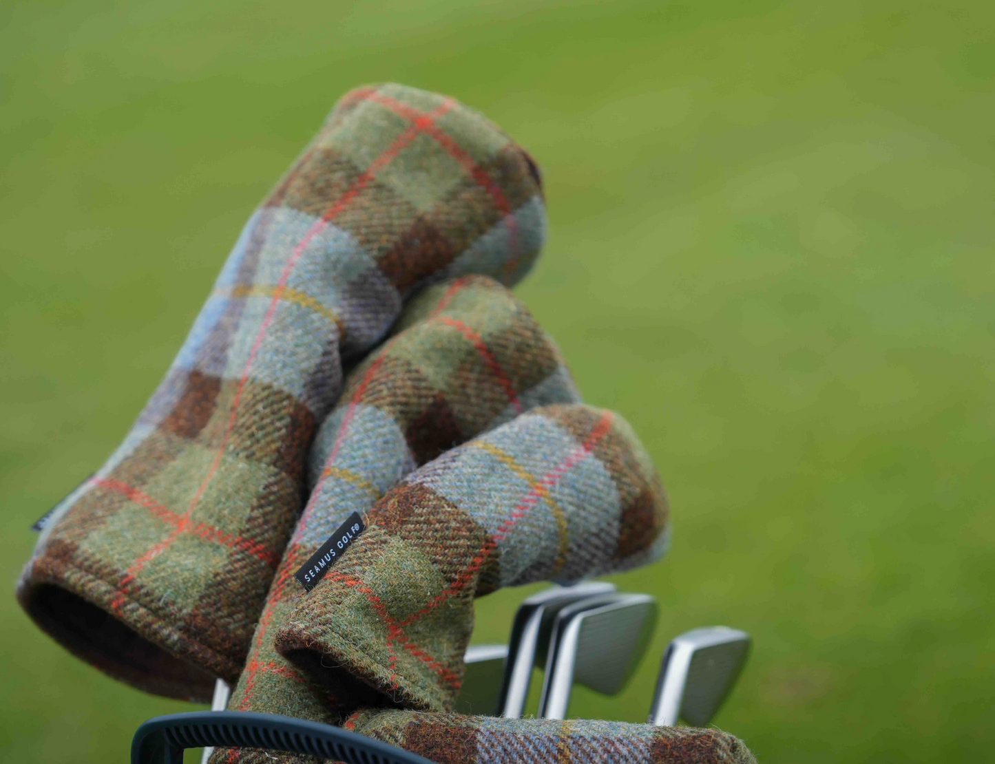 MacLeod Tweed