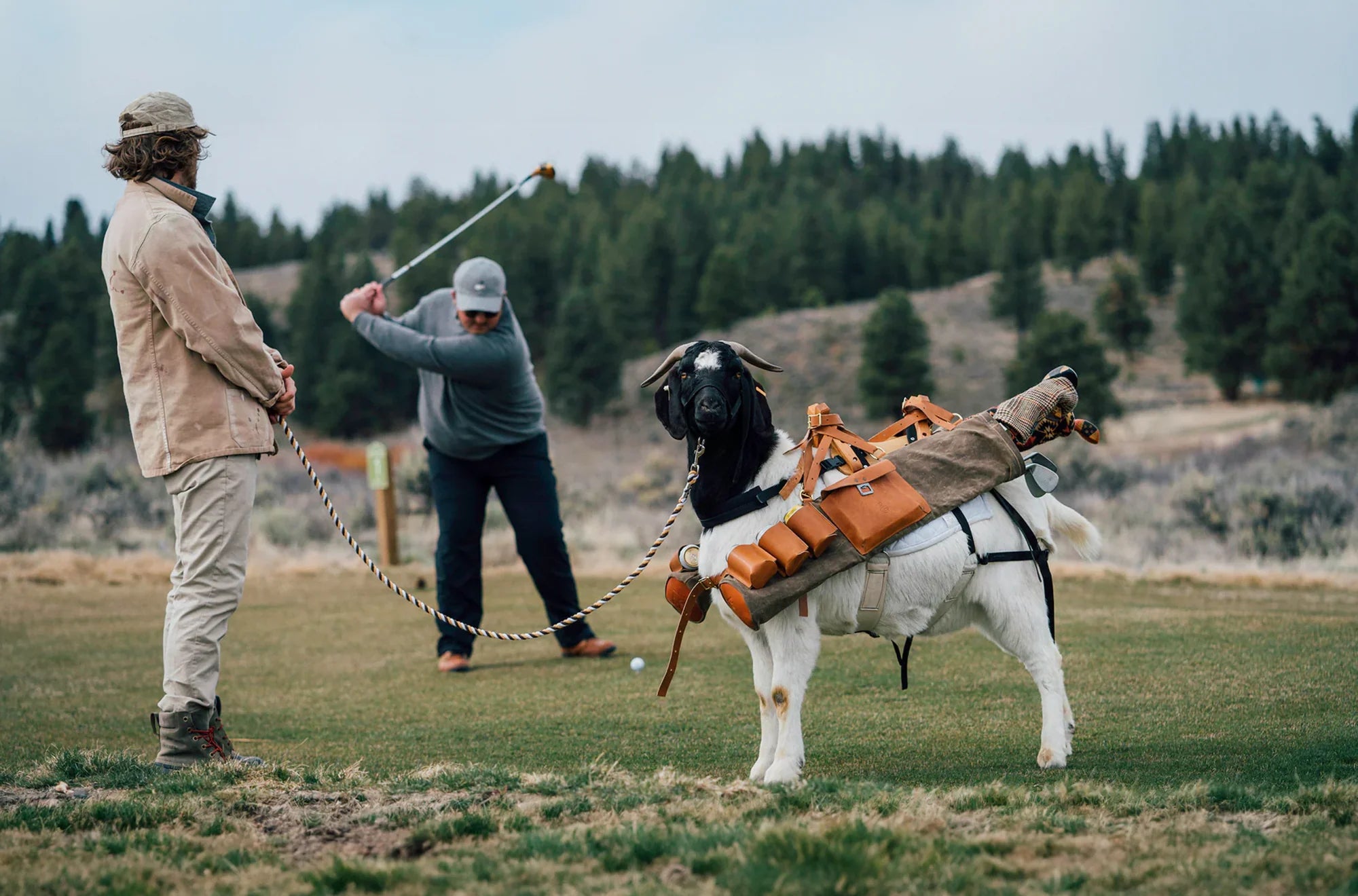 Golfer and pack goat carrying Seamus Golf leather gear
